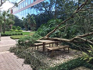 Harvey damage Tampa office.jpg