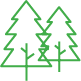 green-pine-trees